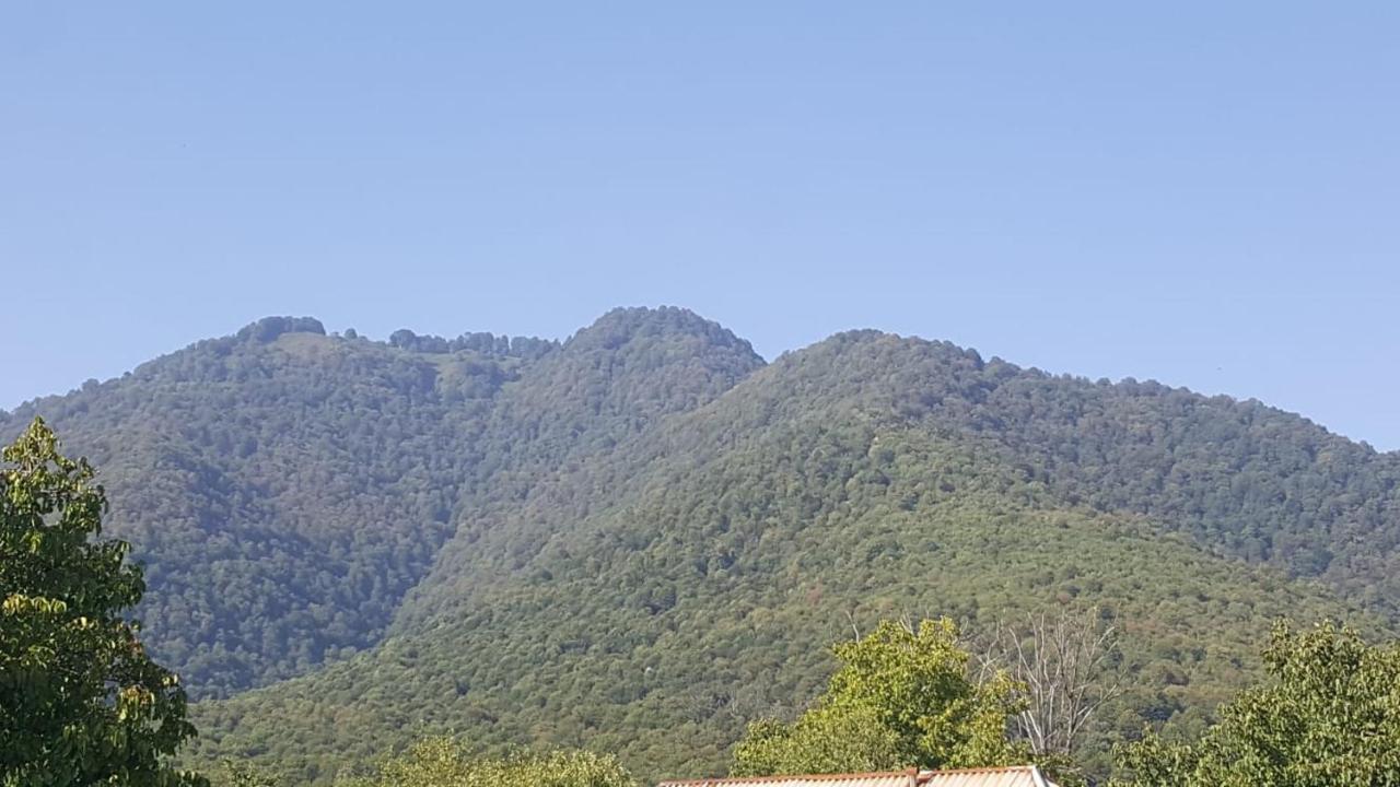 Viva Hotel Gabala With Sauna, Pool, Waterfall And Fireplace Zewnętrze zdjęcie