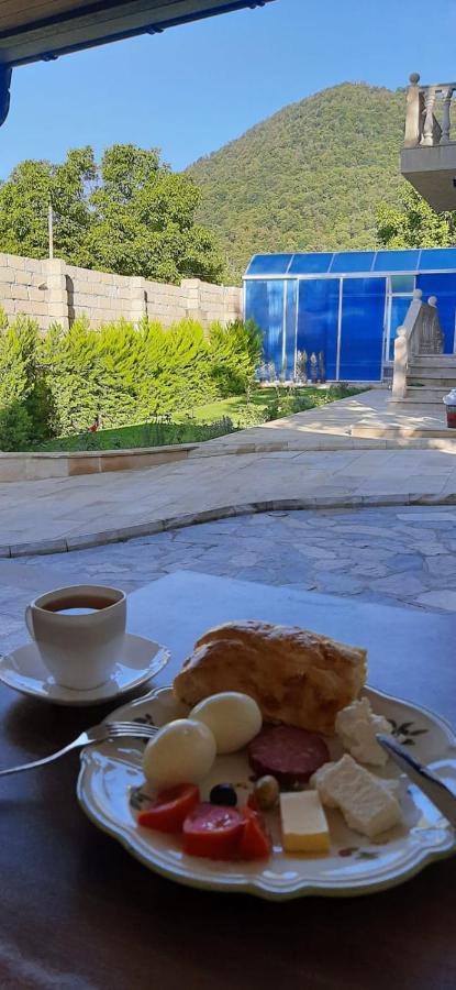 Viva Hotel Gabala With Sauna, Pool, Waterfall And Fireplace Zewnętrze zdjęcie